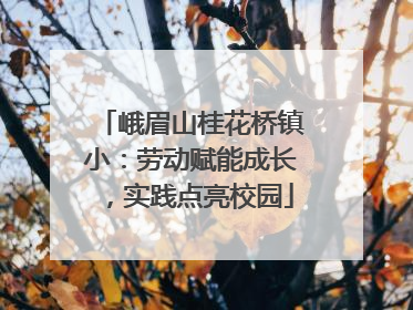 峨眉山桂花桥镇小：劳动赋能成长，实践点亮校园