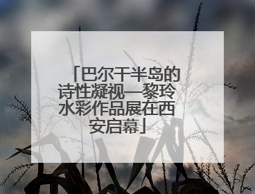巴尔干半岛的诗性凝视—黎玲水彩作品展在西安启幕