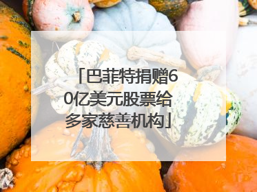 巴菲特捐赠60亿美元股票给多家慈善机构