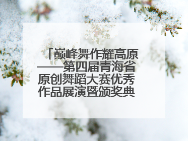 巅峰舞作耀高原——第四届青海省原创舞蹈大赛优秀作品展演暨颁奖典礼璀璨收官