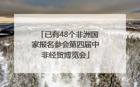 已有48个非洲国家报名参会第四届中非经贸博览会