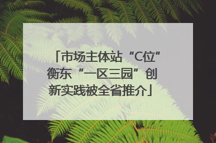 市场主体站“C位” 衡东“一区三园”创新实践被全省推介
