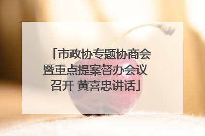 市政协专题协商会暨重点提案督办会议召开 黄喜忠讲话