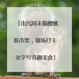 市民周末摘樱桃逛市集，现场打卡老字号奇趣美食