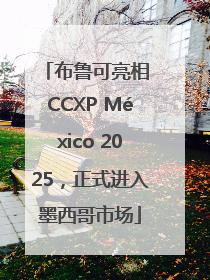 布鲁可亮相 CCXP México 2025，正式进入墨西哥市场