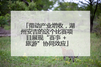 带动产业增收，湖州安吉的这个比赛项目展现“赛事 + 旅游”协同效应