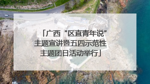 广西“区直青年说”主题宣讲暨五四示范性主题团日活动举行