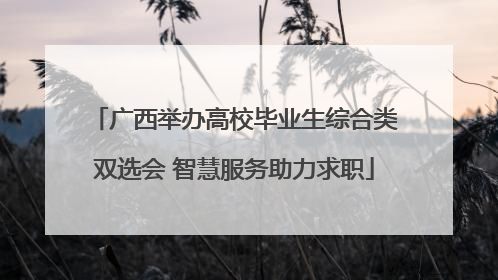 广西举办高校毕业生综合类双选会 智慧服务助力求职