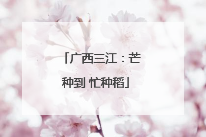 广西三江：芒种到 忙种稻
