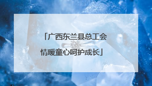 广西东兰县总工会情暖童心呵护成长