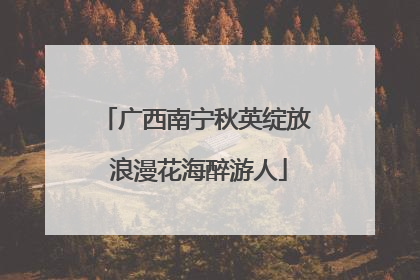 广西南宁秋英绽放 浪漫花海醉游人