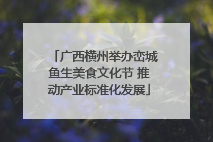 广西横州举办峦城鱼生美食文化节 推动产业标准化发展