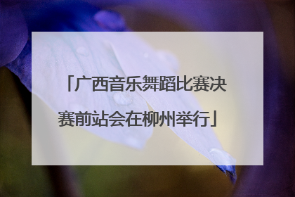 广西音乐舞蹈比赛决赛前站会在柳州举行
