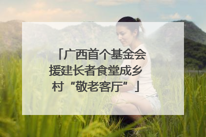 广西首个基金会援建长者食堂成乡村“敬老客厅”