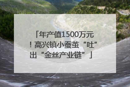 年产值1500万元！高兴镇小蚕茧“吐”出“金丝产业链”