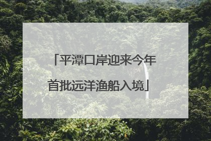 平潭口岸迎来今年首批远洋渔船入境