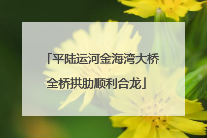 平陆运河金海湾大桥全桥拱肋顺利合龙