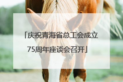 庆祝青海省总工会成立75周年座谈会召开