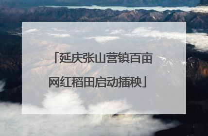延庆张山营镇百亩网红稻田启动插秧