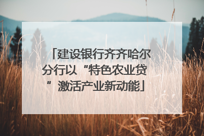 建设银行齐齐哈尔分行以“特色农业贷”激活产业新动能