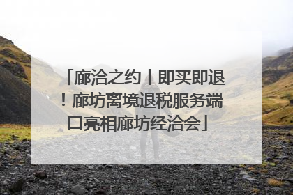 廊洽之约丨即买即退！廊坊离境退税服务端口亮相廊坊经洽会