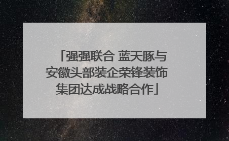 强强联合 蓝天豚与安徽头部装企荣锋装饰集团达成战略合作