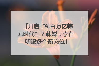 开启“AI百万亿韩元时代”？韩媒：李在明设多个新岗位