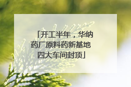 开工半年，华纳药厂原料药新基地四大车间封顶