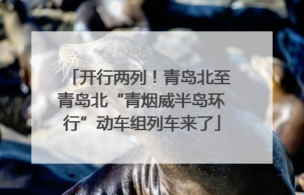 开行两列！青岛北至青岛北“青烟威半岛环行”动车组列车来了