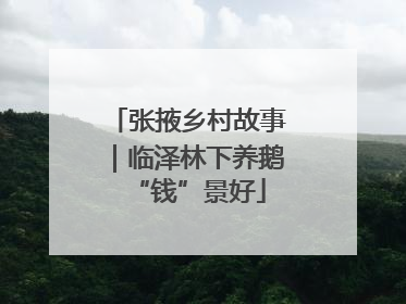 张掖乡村故事｜临泽林下养鹅“钱”景好