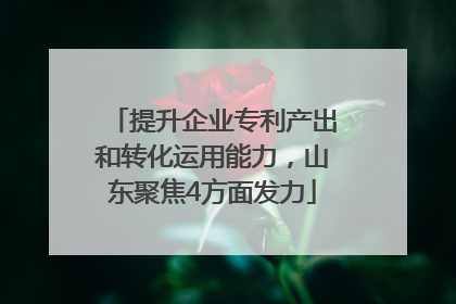 提升企业专利产出和转化运用能力，山东聚焦4方面发力
