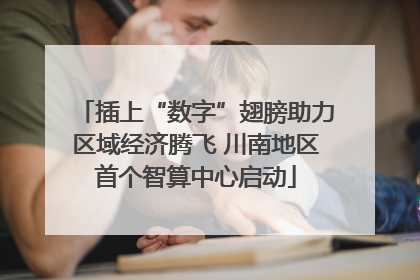 插上“数字”翅膀助力区域经济腾飞 川南地区首个智算中心启动