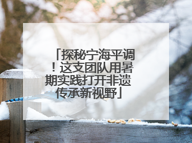 探秘宁海平调！这支团队用暑期实践打开非遗传承新视野
