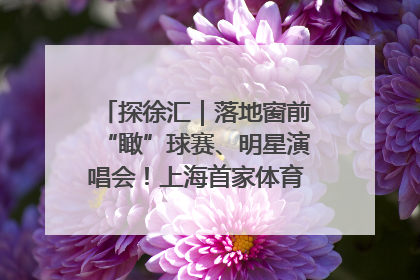 探徐汇｜落地窗前“瞰”球赛、明星演唱会！上海首家体育特色高端酒店亮相