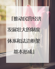 推动民营经济发展壮大的制度体系和法治框架基本形成