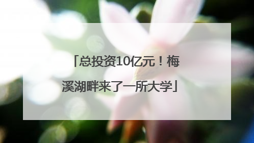 总投资10亿元！梅溪湖畔来了一所大学