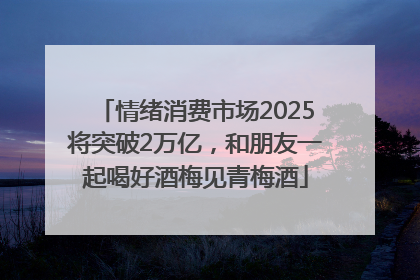 情绪消费市场2025将突破2万亿，和朋友一起喝好酒梅见青梅酒