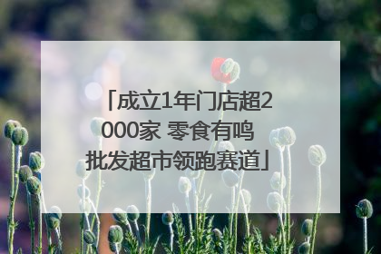 成立1年门店超2000家 零食有鸣批发超市领跑赛道