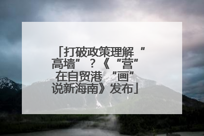打破政策理解“高墙”？《“营”在自贸港 “画”说新海南》发布