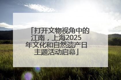 打开文物视角中的江南，上海2025年文化和自然遗产日主题活动启幕