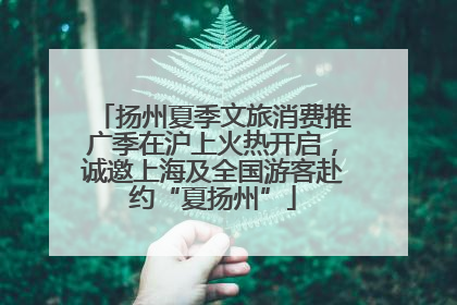扬州夏季文旅消费推广季在沪上火热开启，诚邀上海及全国游客赴约“夏扬州”