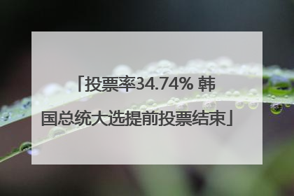 投票率34.74% 韩国总统大选提前投票结束