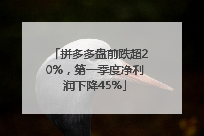 拼多多盘前跌超20%，第一季度净利润下降45%