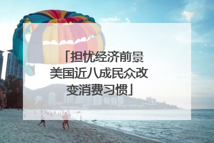 担忧经济前景 美国近八成民众改变消费习惯