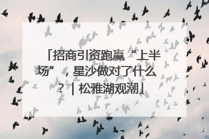 招商引资跑赢“上半场”，星沙做对了什么？｜松雅湖观潮
