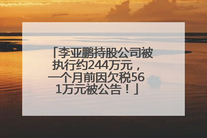 李亚鹏持股公司被执行约244万元，一个月前因欠税561万元被公告！