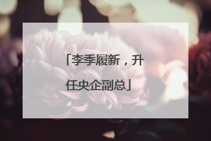 李季履新，升任央企副总