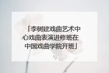 李树建戏曲艺术中心戏曲表演进修班在中国戏曲学院开班