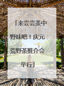 来尝尝茶中野味吧！庆元荒野茶推介会举行
