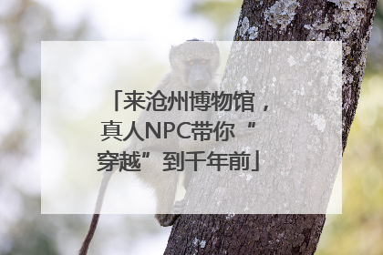来沧州博物馆，真人NPC带你“穿越”到千年前